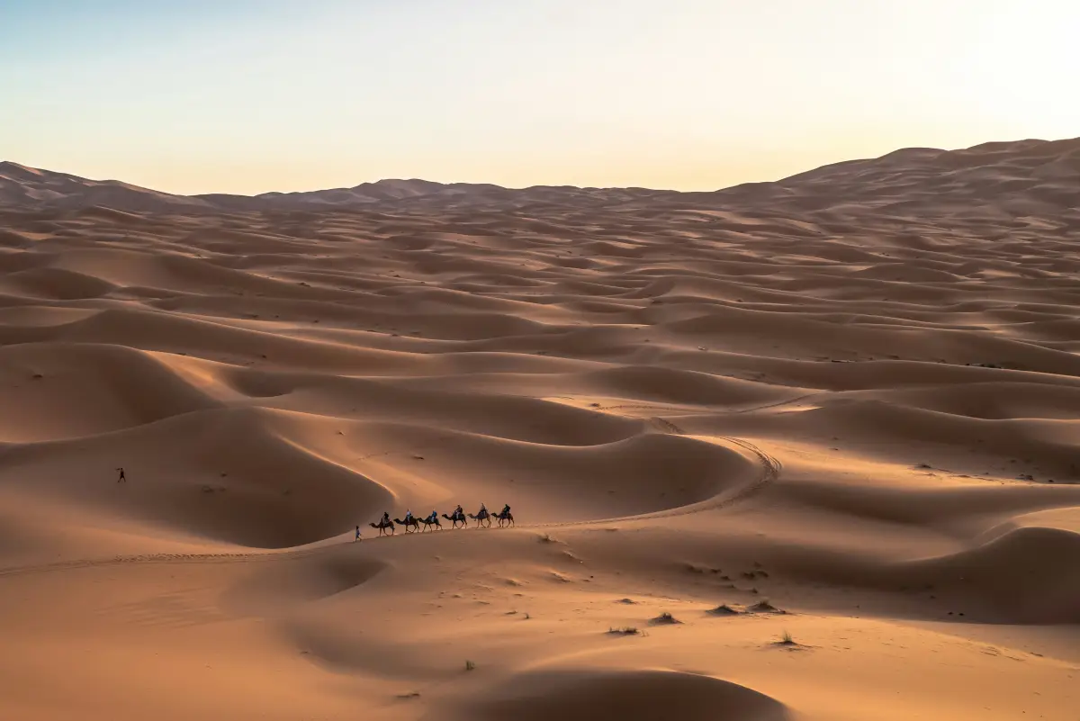 Le désert saoudien et une caravane, paysage emblématique du royaume