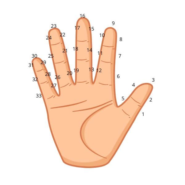 Les 33 points de comptage sur les phalanges et les plis d'une main